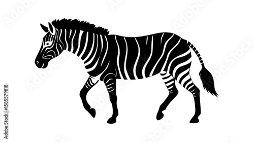 Black and white zebra vector illustration african wildlife animal design safari mammal zoo striped horse drawing 100