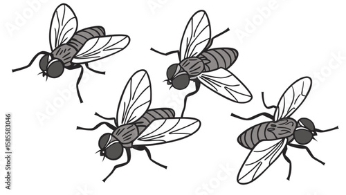 Illustration of flying houseflies insect pest control vector drawing clip art pestilence disease carrier flies ick