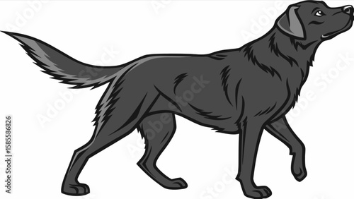 Black labrador retriever dog breed illustration vector graphic design for pet lovers and dog owners art print