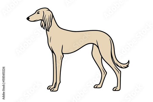 Vector Illustration of an Elegant Saluki Dog Silhouette