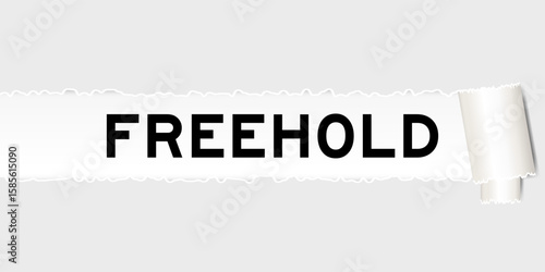 Ripped gray paper background that have word freehold under torn part