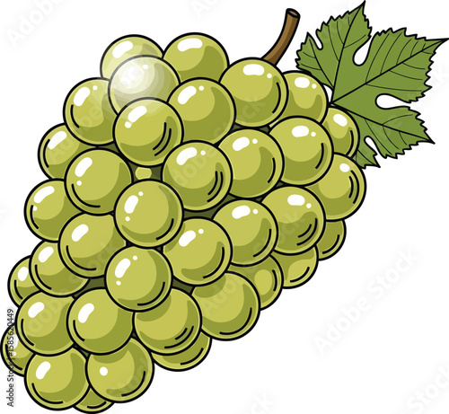 A cluster of dark purple grapes on the vine, one sliced open to reveal seeds.