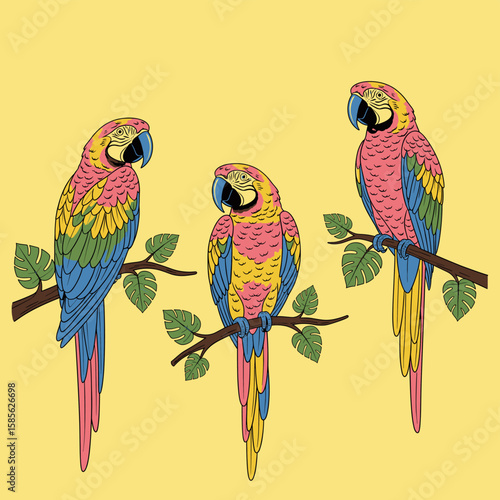 Amazing brasil. Copacabana beach art. Rio de janeiro. Summer vibes artwork. Tropical paradise. Macaw paradise artwork. Tropical vibes t shirt artwork.