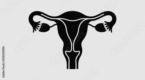 Stylized black silhouette of the female reproductive system on a light gray background