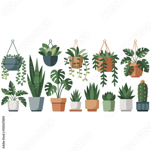 Collection of various potted and hanging houseplants in a clean flat design style