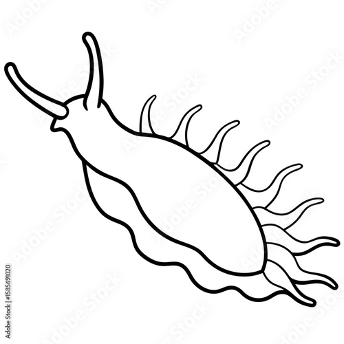 Minimal Sea Slug Vector
