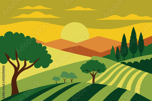 sunlit olive groves in the umbrian countryside 