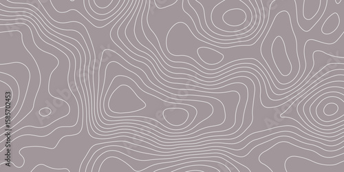 Abstract topographic contour pattern with smooth white lines on a muted gray background. Ideal for backgrounds, wallpapers, or design projects needing a modern geographic or elevation-themed texture.