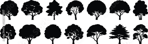 Tree silhouette vector set, black tree icon collection, natural forest elements, plant shapes, isolated graphic for landscape and design
