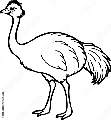 Emu bird outline with long neck and legs, detailed feathers and tail, standing posture in simple black line art style