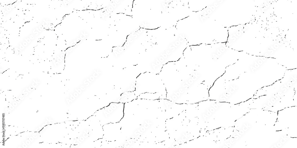 Fototapeta premium A minimalist,high-contrast,black and white texture resembling cracked ice,shattered glass,or a dry,parched earth surface.The cracks are intricate and uneven, creating a sense of natural fragmentation.