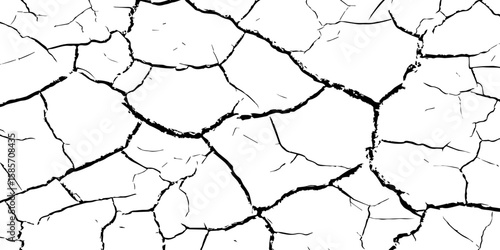 "A high-contrast, black and white close-up of a cracked surface, resembling dry earth or old paint, with irregular polygonal segments and fine lines spreading across the frame."
