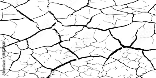 "A high-contrast, black and white close-up of a cracked surface, resembling dry earth or old paint, with irregular polygonal segments and fine lines spreading across the frame."