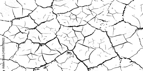 "A high-contrast, black and white close-up of a cracked surface, resembling dry earth or old paint, with irregular polygonal segments and fine lines spreading across the frame."