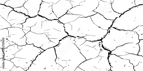 "A high-contrast, black and white close-up of a cracked surface, resembling dry earth or old paint, with irregular polygonal segments and fine lines spreading across the frame."