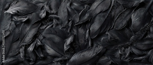 Wallpaper Mural The Black Feathers Create a Stunning Abstract Background Texture for Designs Torontodigital.ca