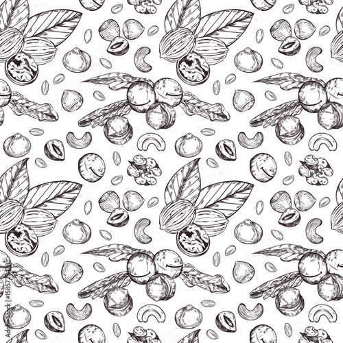 Seamless vector pattern. Walnuts, hazelnuts, macadamias, peanuts, cashews, leaves. All objects are hand-drawn in vector. The illustration is suitable for printing on paper, fabric, food packaging. 