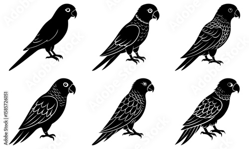 Collection of six black parrot silhouettes with varying feather detail