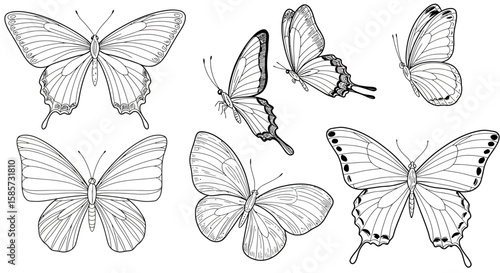 Elegant butterfly line art collection on white background for creative designs