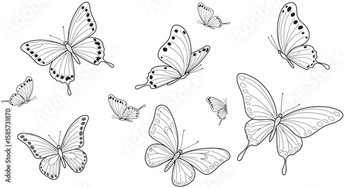 Elegant butterflies outlines in various positions on a white background art design