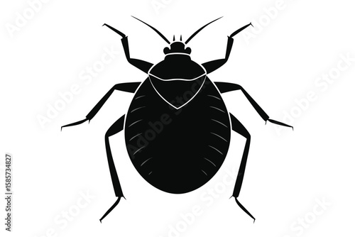 Simple silhouette illustration of a bedbug on a white background
