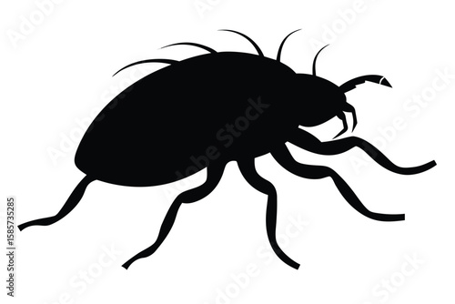 Clean silhouette illustration of a flea on a white background