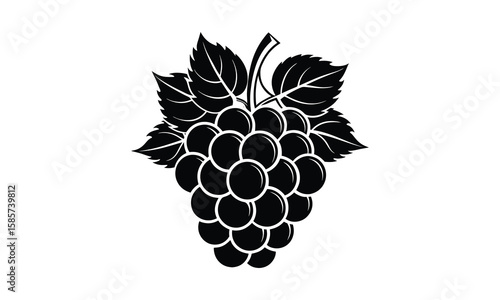 Grape t shirt design silhouette and vector Aesthetic Grape SVG for Stickers and Sublimation