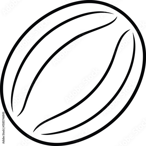 Whole nutmeg line art vector illustration simple design