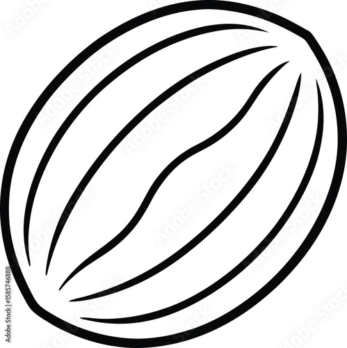 Whole nutmeg line art vector illustration simple design