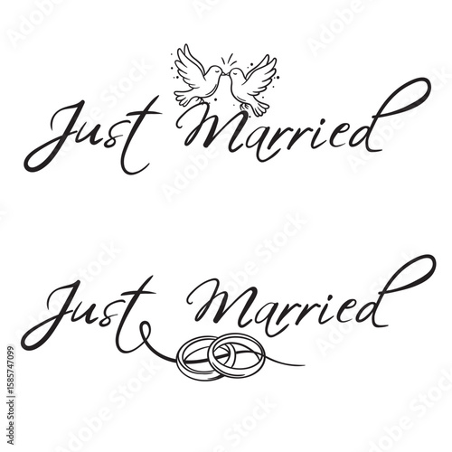Just Married Save the date - wedding lettering design. Vector illustration. stock illustration. Lovers of Doves and Wedding Rings