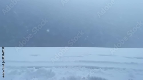 Wallpaper Mural A snowy landscape, light snowfall in a hazy atmosphere Torontodigital.ca