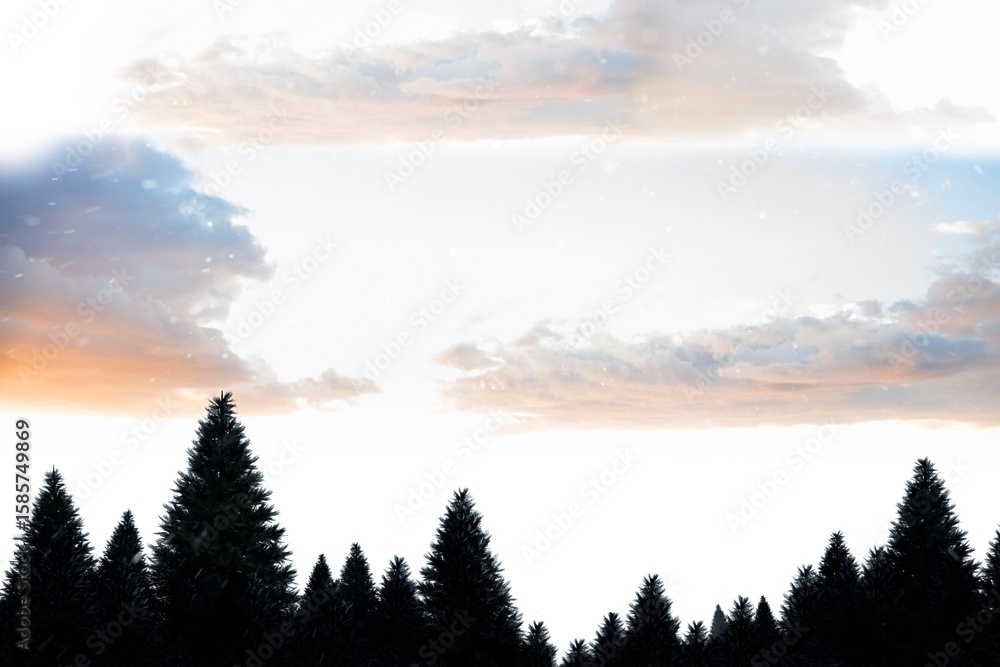 Fototapeta premium Snow falling on fir tree forest