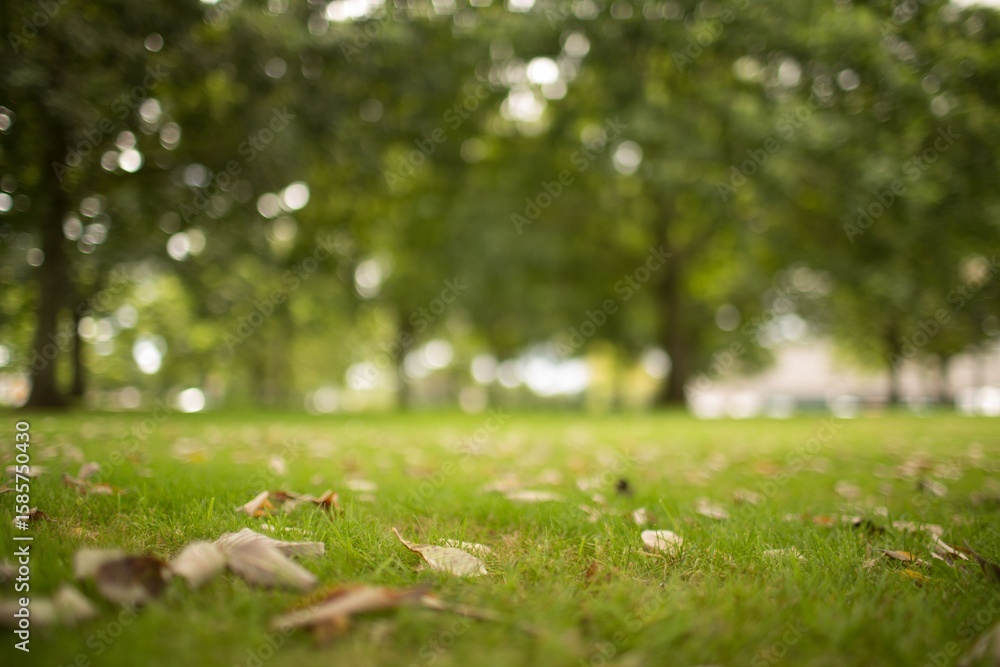 Naklejka premium Flat design is showing patch of grass with scattered dry leaves and blurred trees background