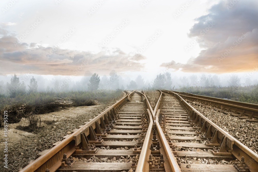 Fototapeta premium Railway tracks leading to misty forest