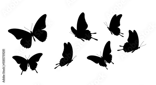 Elegant butterfly silhouettes, graceful flight, vector illustration for designs