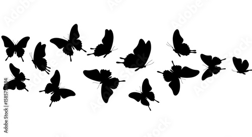 Silhouette of butterflies flying in formation creating an elegant pattern