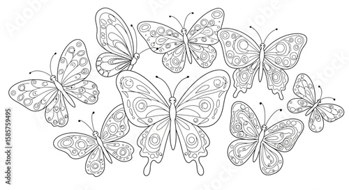 Hand-drawn butterflies with intricate designs on a white background for coloring pages