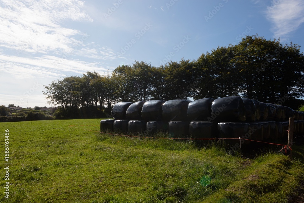 Obraz premium Packed hay bales on grassy field
