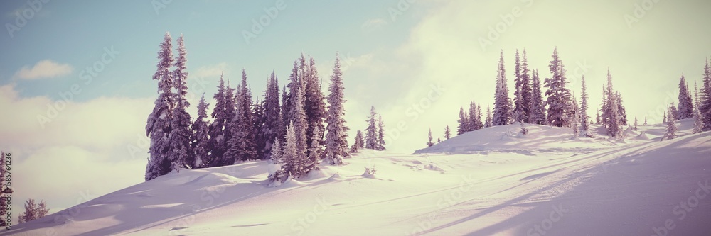 Fototapeta premium Snowcapped and forest during winter