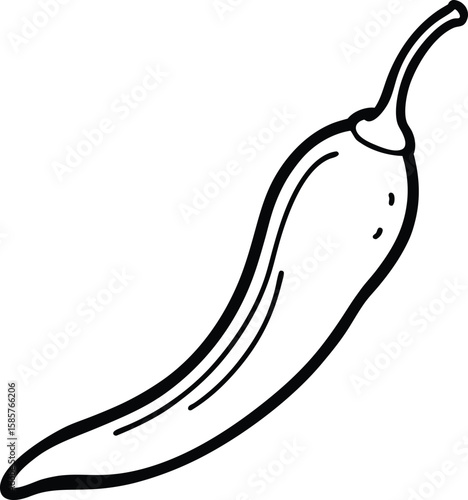 Dried chili pepper line art vector illustration