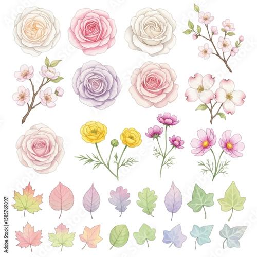 Watercolor illustration featuring various flowers, blossoms, and colorful leaves arranged on white.
