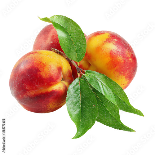 Wallpaper Mural Three ripe and juicy nectarines with vibrant red and yellow hues, adorned with fresh green leaves on a branch, isolated on transparent background Torontodigital.ca