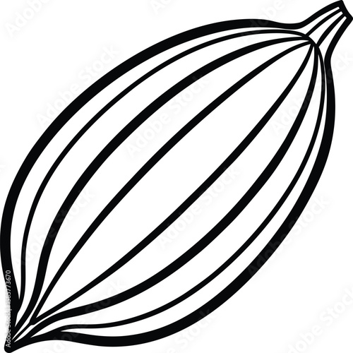 Cardamom pod line art vector illustration graphic