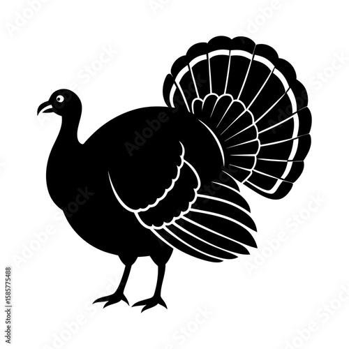 Silhouette of a turkey with a large tail standing on two legs isolated
