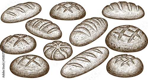 Vintage Bread Collection – Hand Drawn Ink Sketch of Loaves and Round Breads, Engraving Style Illustration

