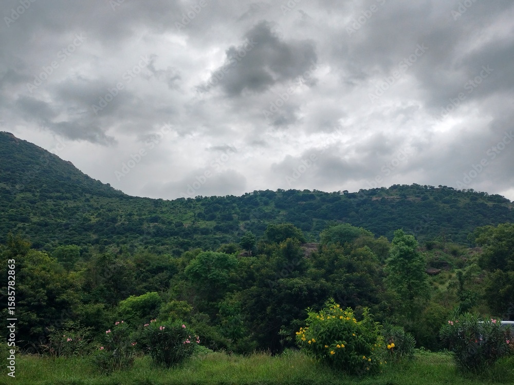 Obraz premium clouds over the forest