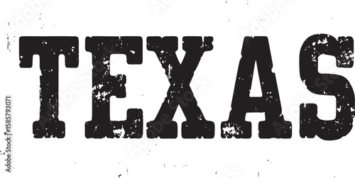 grunge retro vintage word texas