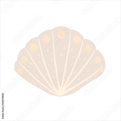 Hand-drawn pastel color beige sea shell, cozy aesthetic sea element.
