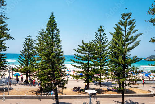 Fototapeta Naklejka Na Ścianę i Meble -  Manly Beach, with its tree-lined promenade and long stretch of fine soft sand, it is a popular destination for families. The first world surfing championship was held here in 1964. Sydney, Jan 2020