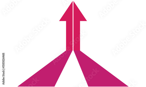 Two converging paths form an arrow pointing upwards on a  background.